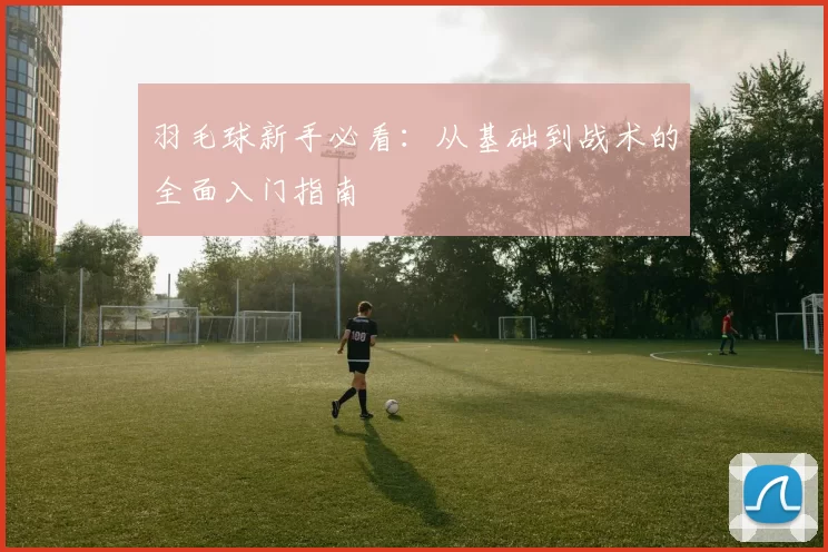 羽毛球新手必看：从基础到战术的全面入门指南