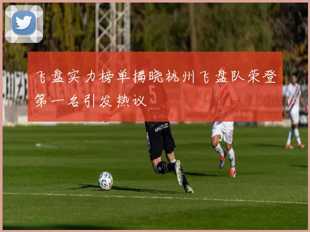 飞盘实力榜单揭晓杭州飞盘队荣登第一名引发热议