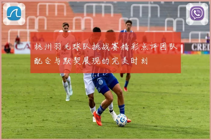 杭州羽毛球队挑战赛精彩点评团队配合与默契展现的完美时刻