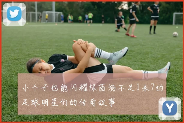 小个子也能闪耀绿茵场不足1米7的足球明星们的传奇故事