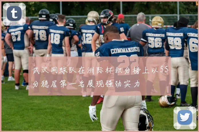 武汉网球队在洲际杯积分榜上以55分稳居第一名展现强劲实力