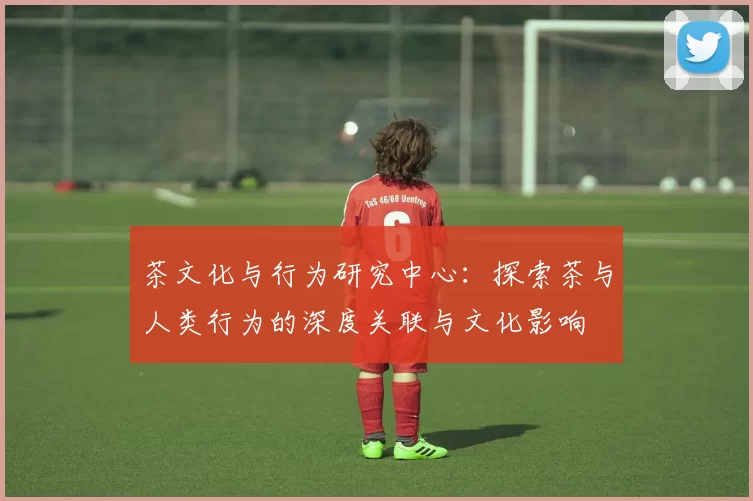 茶文化与行为研究中心：探索茶与人类行为的深度关联与文化影响