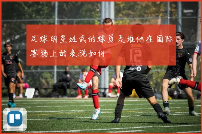 足球明星姓武的球员是谁他在国际赛场上的表现如何