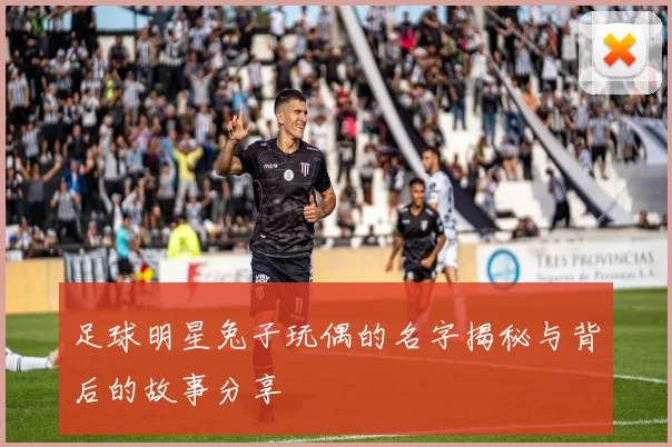 足球明星兔子玩偶的名字揭秘与背后的故事分享