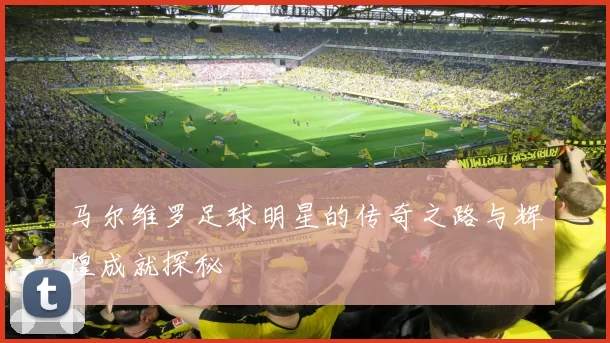 马尔维罗足球明星的传奇之路与辉煌成就探秘
