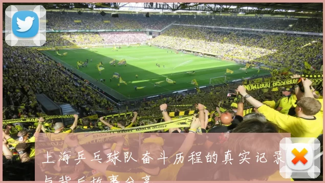 上海乒乓球队奋斗历程的真实记录与背后故事分享