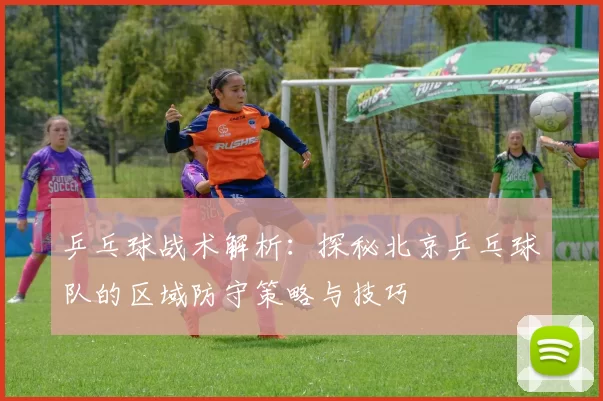 乒乓球战术解析：探秘北京乒乓球队的区域防守策略与技巧