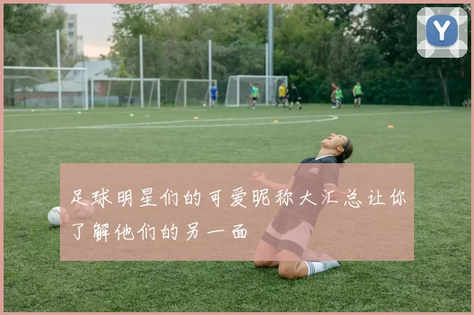 足球明星们的可爱昵称大汇总让你了解他们的另一面