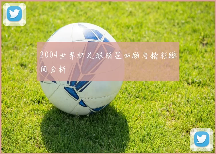 2004世界杯足球明星回顾与精彩瞬间分析