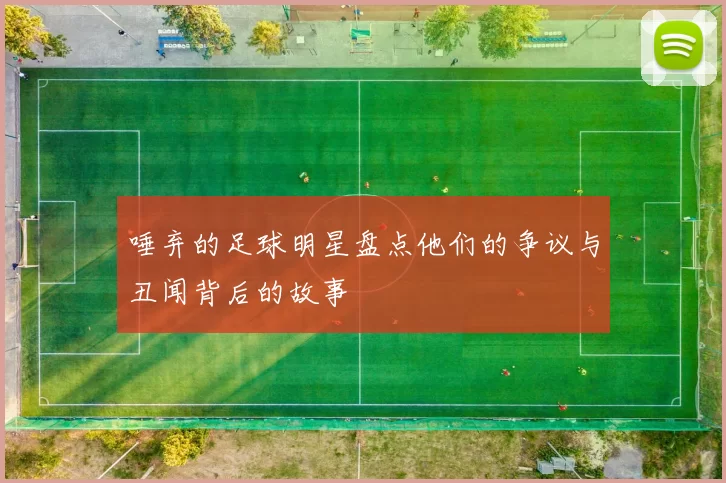 唾弃的足球明星盘点他们的争议与丑闻背后的故事