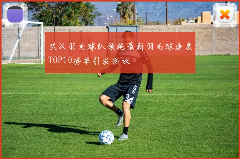 武汉羽毛球队领跑最新羽毛球速度TOP10榜单引发热议