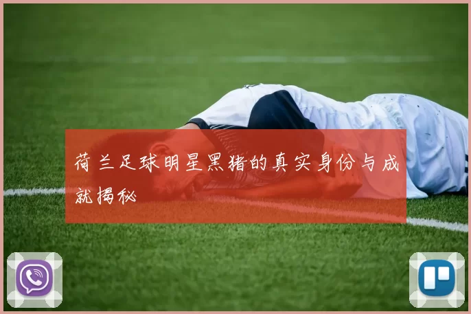 荷兰足球明星黑猪的真实身份与成就揭秘
