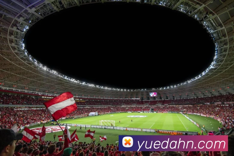 奖项证书